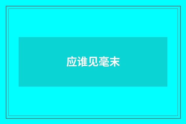 应谁见毫末