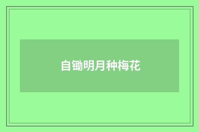 自锄明月种梅花