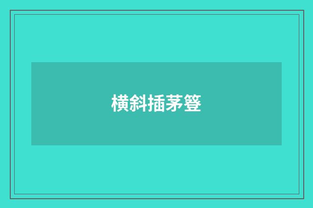 横斜插茅簦