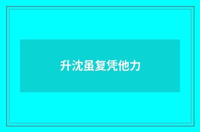 升沈虽复凭他力
