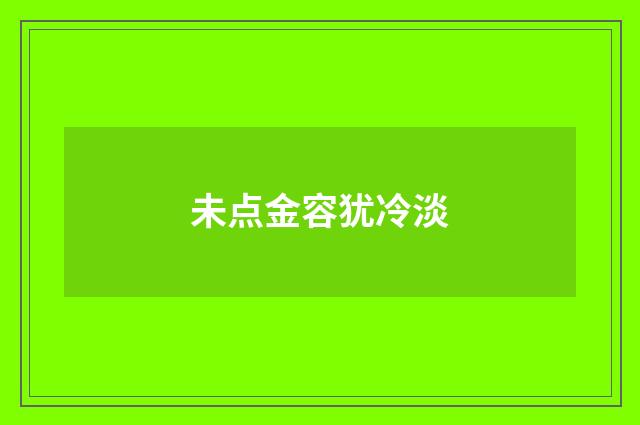 未点金容犹冷淡