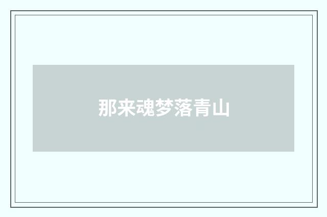 那来魂梦落青山