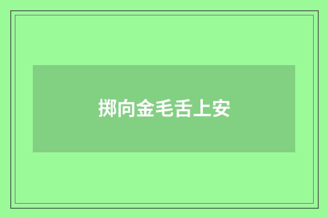 掷向金毛舌上安
