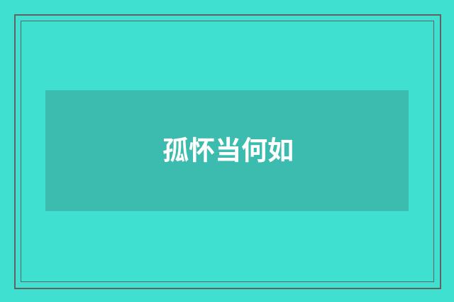孤怀当何如