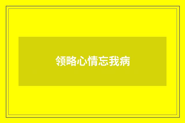 领略心情忘我病
