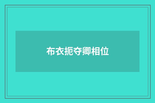 布衣扼夺卿相位