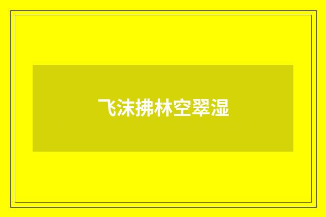 飞沫拂林空翠湿
