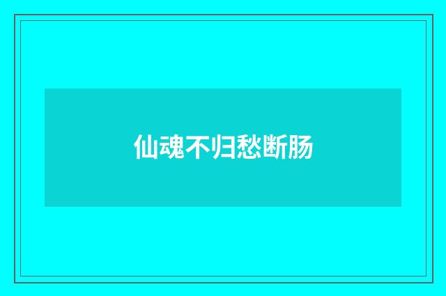 仙魂不归愁断肠
