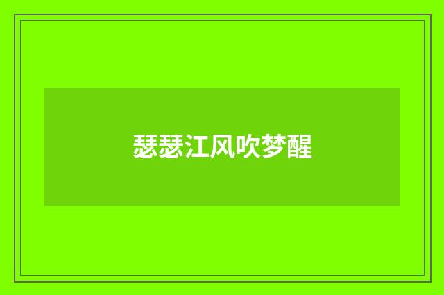 瑟瑟江风吹梦醒