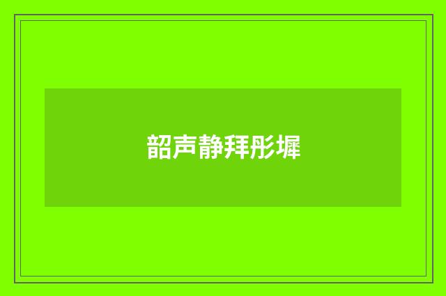 韶声静拜彤墀