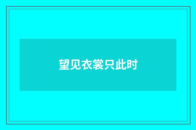 望见衣裳只此时