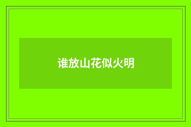 谁放山花似火明