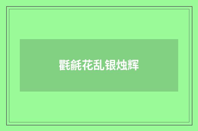 氍毹花乱银烛辉