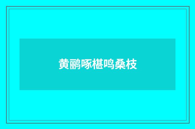 黄鹂啄椹鸣桑枝