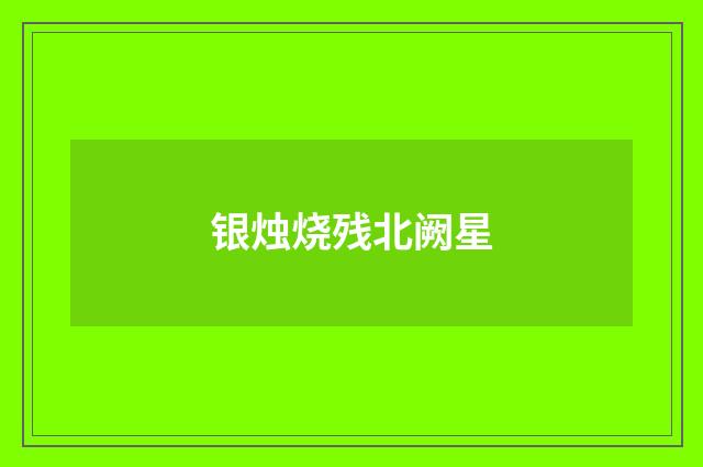 银烛烧残北阙星