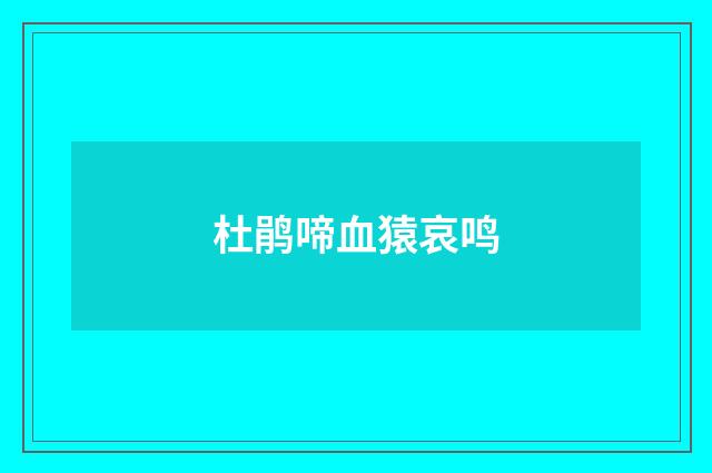杜鹃啼血猿哀鸣