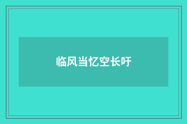 临风当忆空长吁