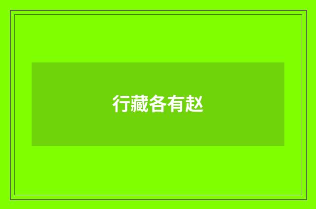 行藏各有赵