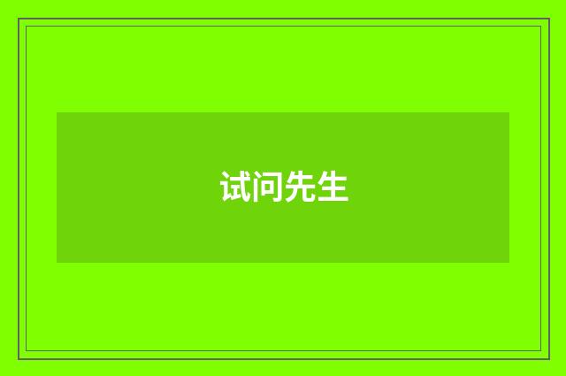 试问先生