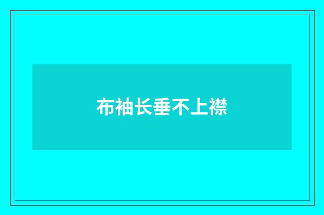 布袖长垂不上襟