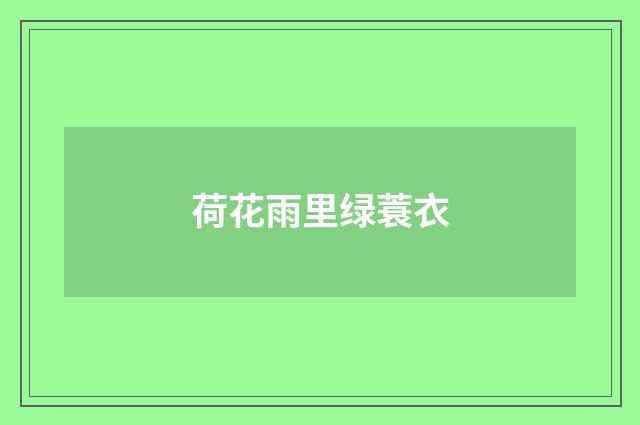 荷花雨里绿蓑衣