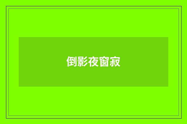 倒影夜窗寂