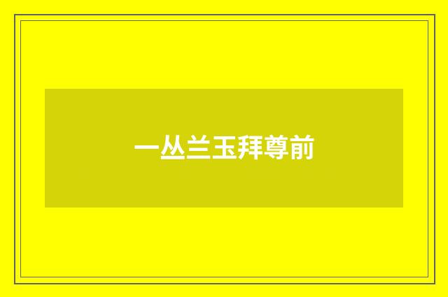 一丛兰玉拜尊前