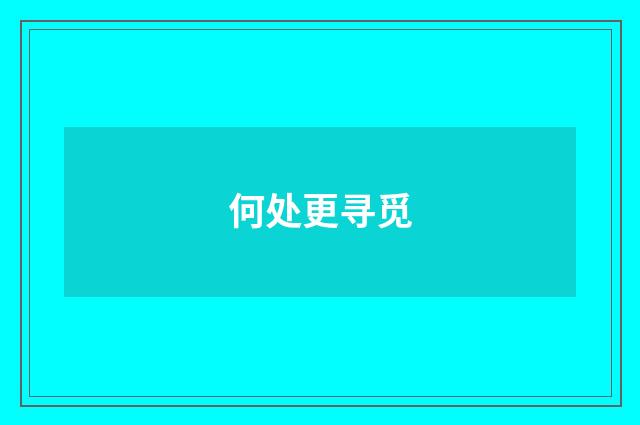 何处更寻觅