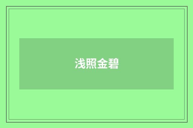 浅照金碧