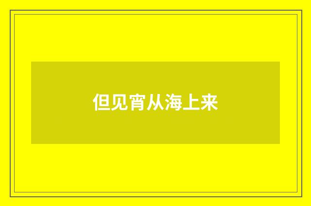 但见宵从海上来