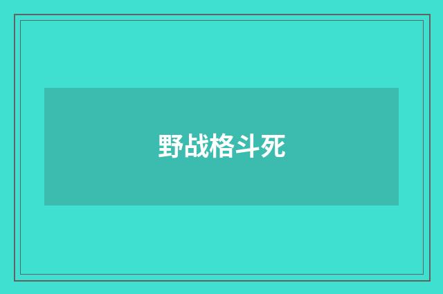 野战格斗死