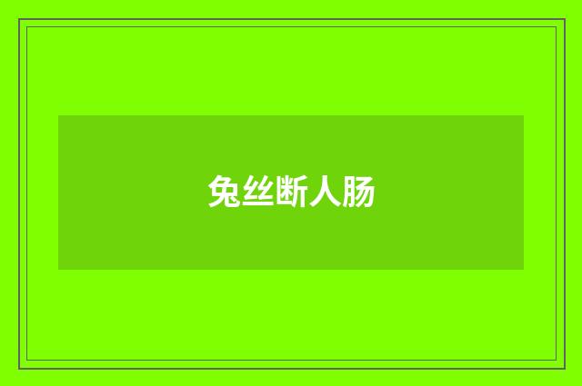 兔丝断人肠