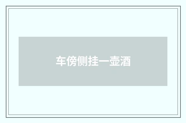 车傍侧挂一壶酒