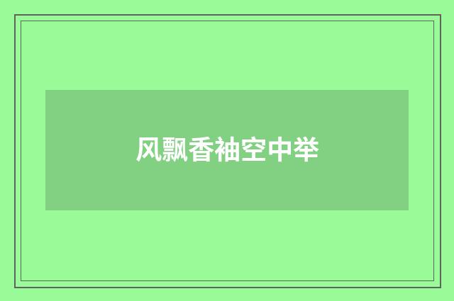 风飘香袖空中举