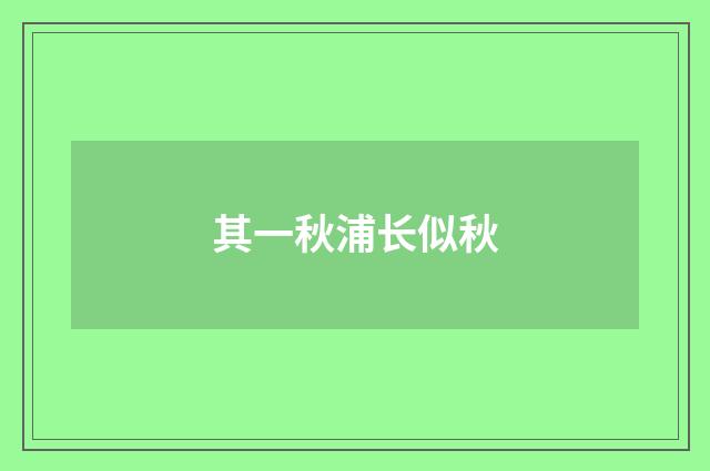 其一秋浦长似秋