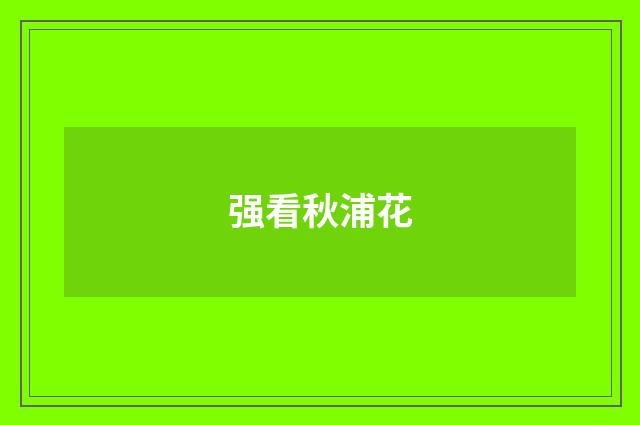 强看秋浦花