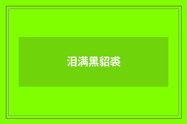 泪满黑貂裘