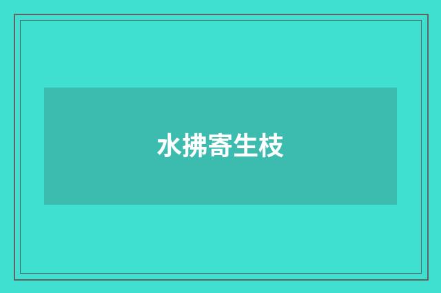 水拂寄生枝