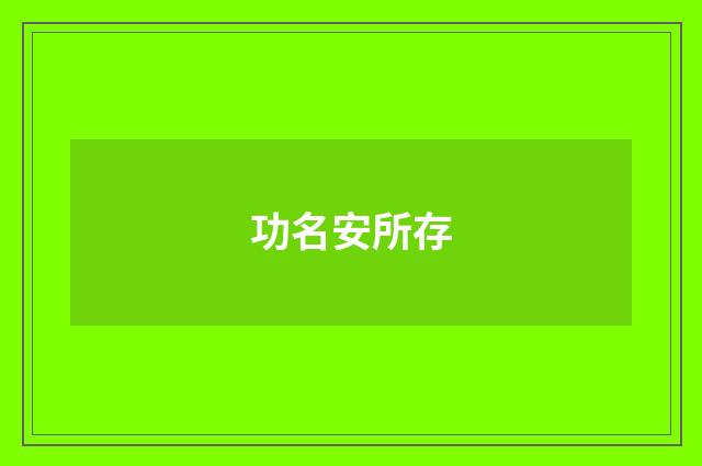 功名安所存