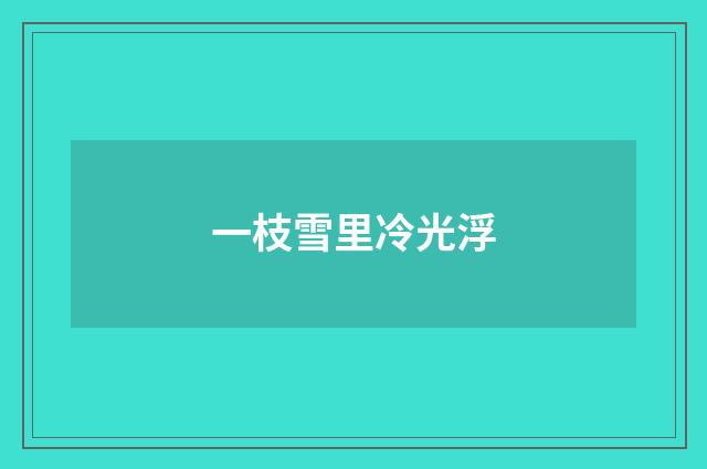 一枝雪里冷光浮