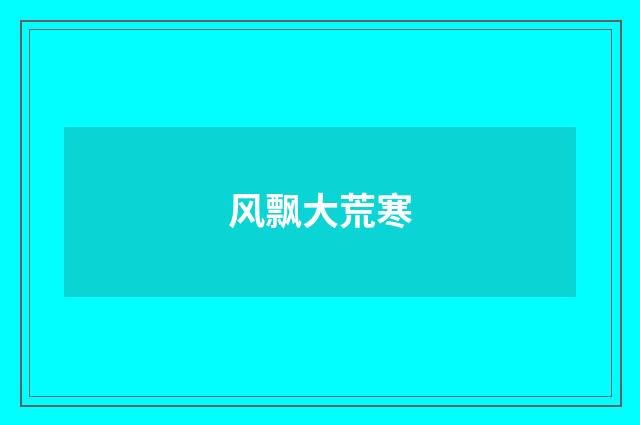 风飘大荒寒
