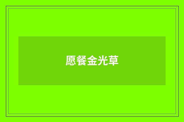 愿餐金光草
