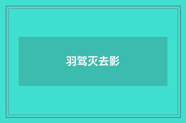 羽驾灭去影