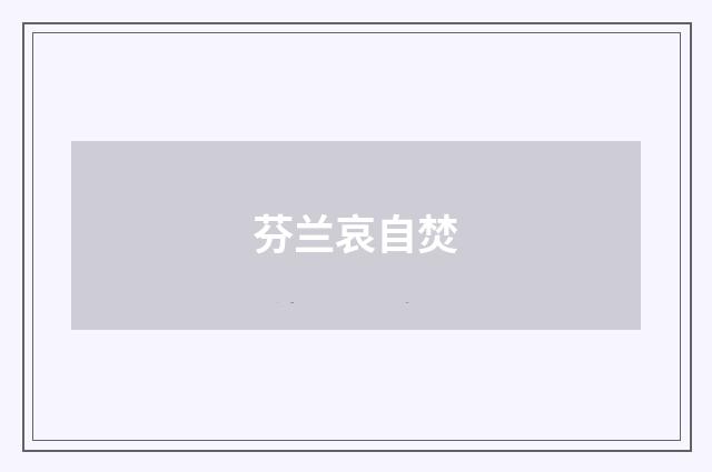 芬兰哀自焚