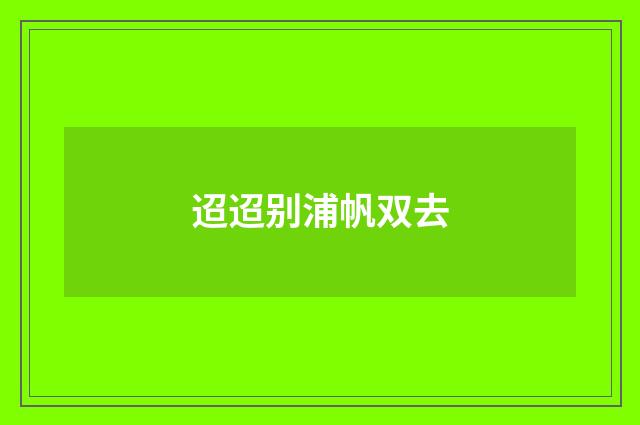 迢迢别浦帆双去