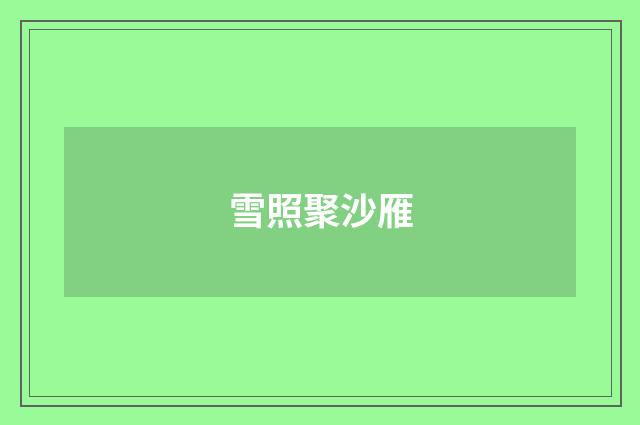 雪照聚沙雁