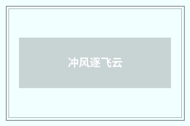 冲风逐飞云