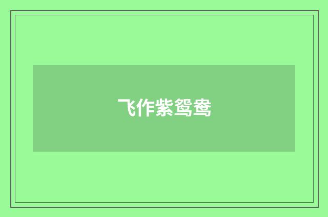 飞作紫鸳鸯