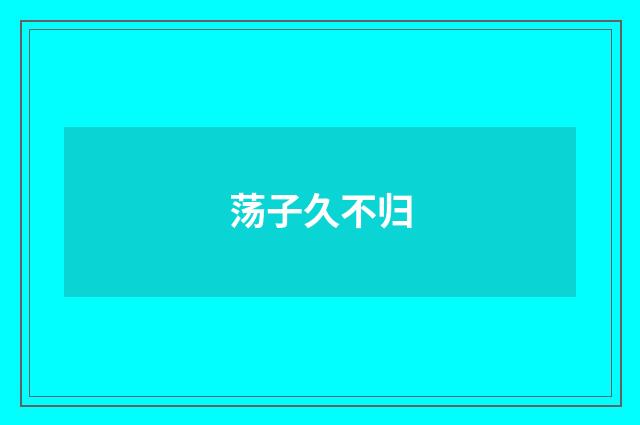 荡子久不归