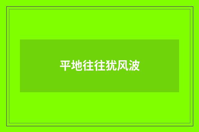 平地往往犹风波